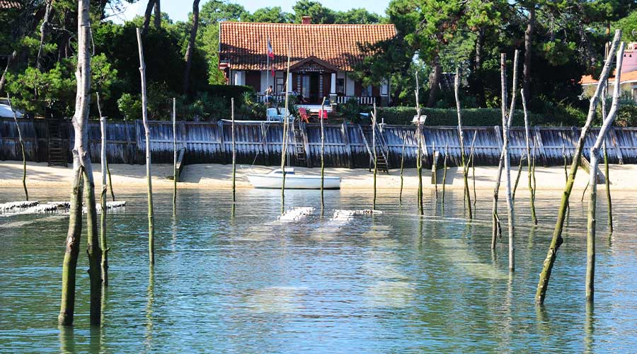 T&t Arcachon oyster and boat tour. Устричный тур в Аркашон с русским гидом