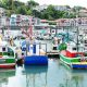 T&t Basque