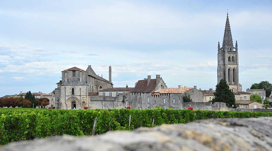 T&t Saint-Emilion wine tour with a private guide. Винный тур в Сент-Эмильон с русским гидом