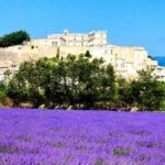 Provence